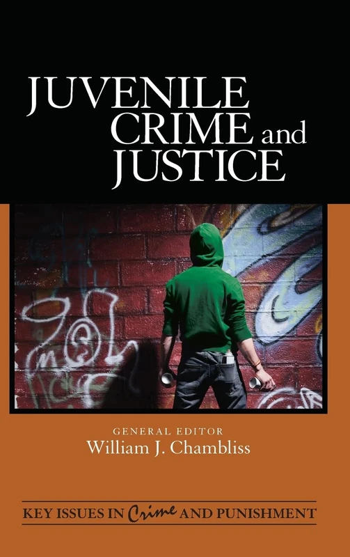 Juvenile Crime and Justice: 5 (Key Issues in Crime and Punishment)