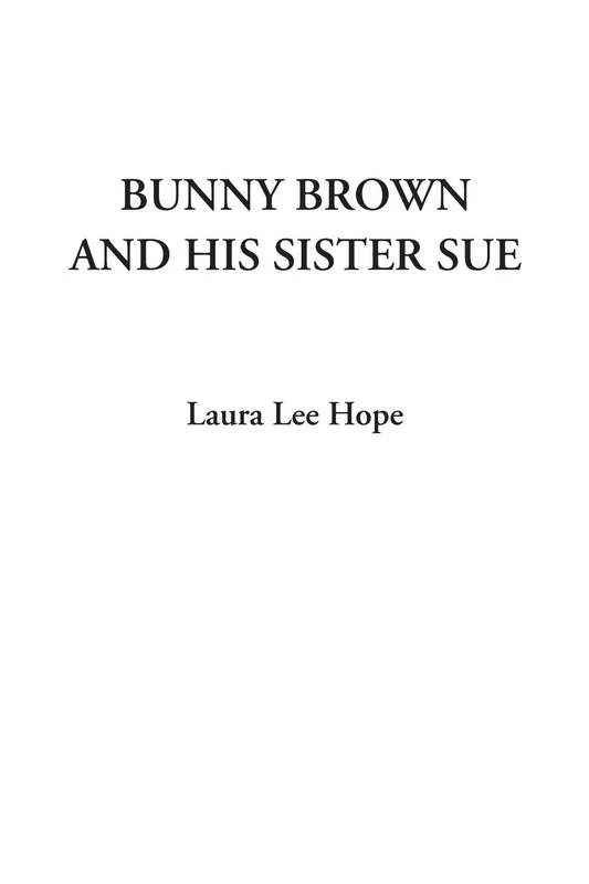 Bunny Brown and his Sister Sue