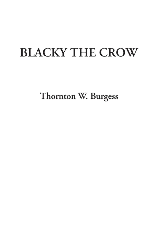 Blacky the Crow