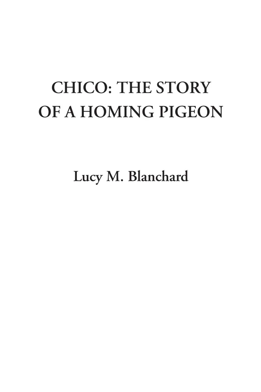 Chico: the Story of a Homing Pigeon