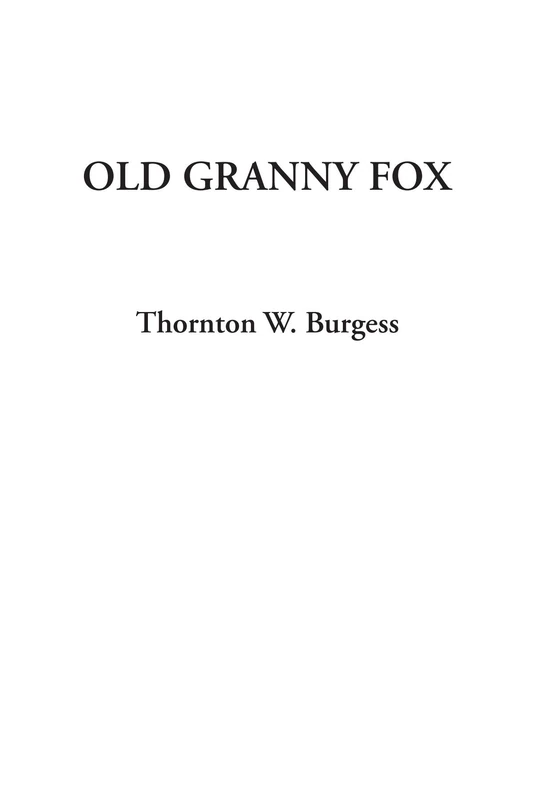 Old Granny Fox