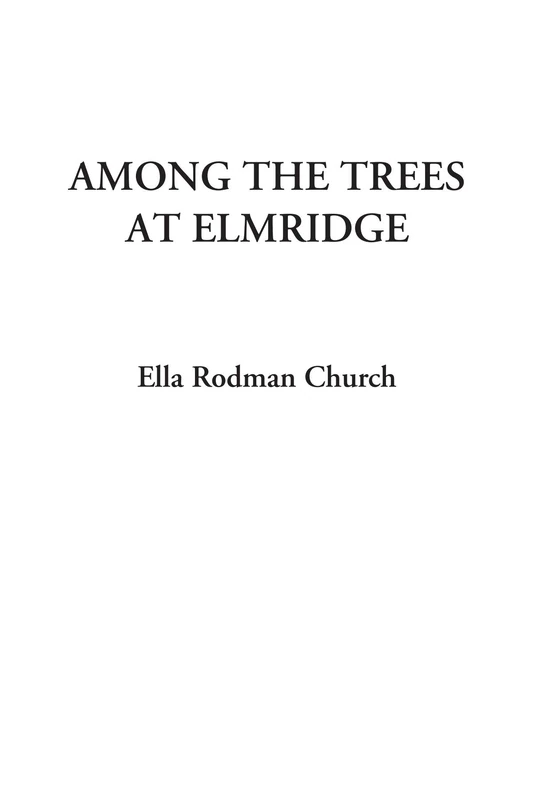 Among the Trees at Elmridge