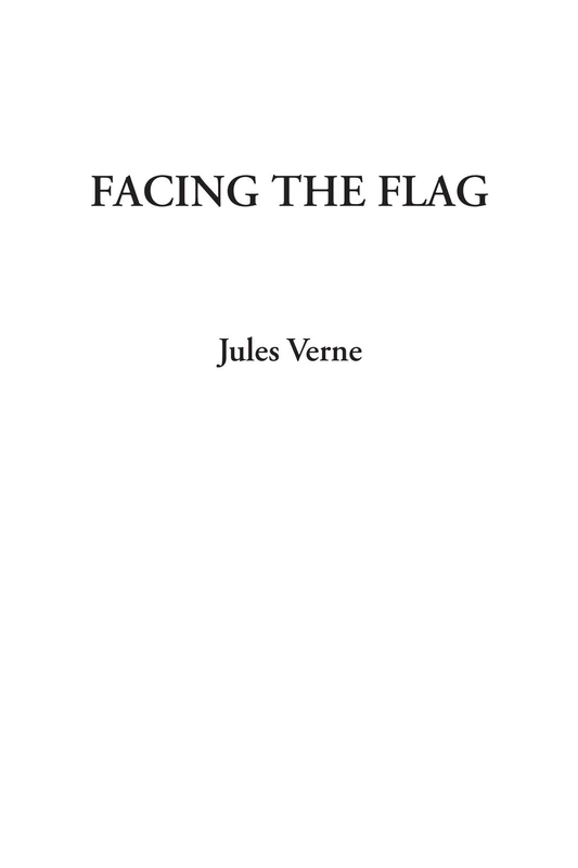 Facing the Flag