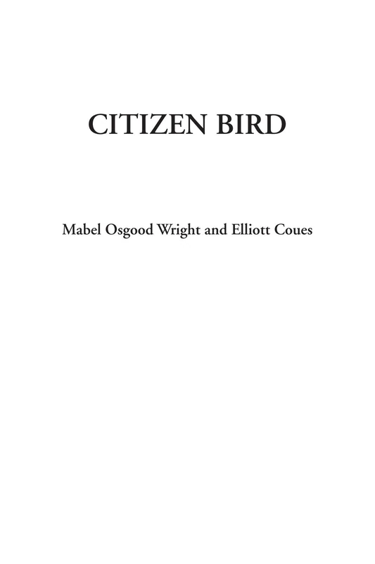 Citizen Bird