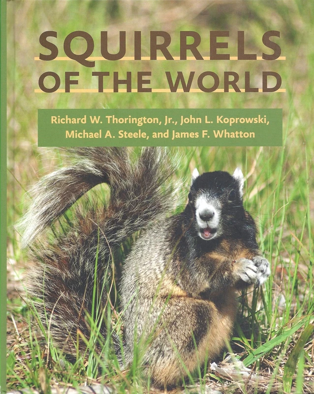 Squirrels of the World