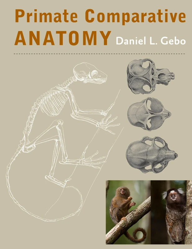 Primate Comparative Anatomy