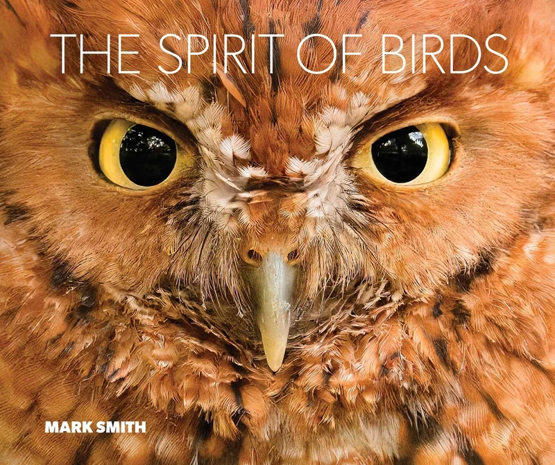The Spirit of Birds