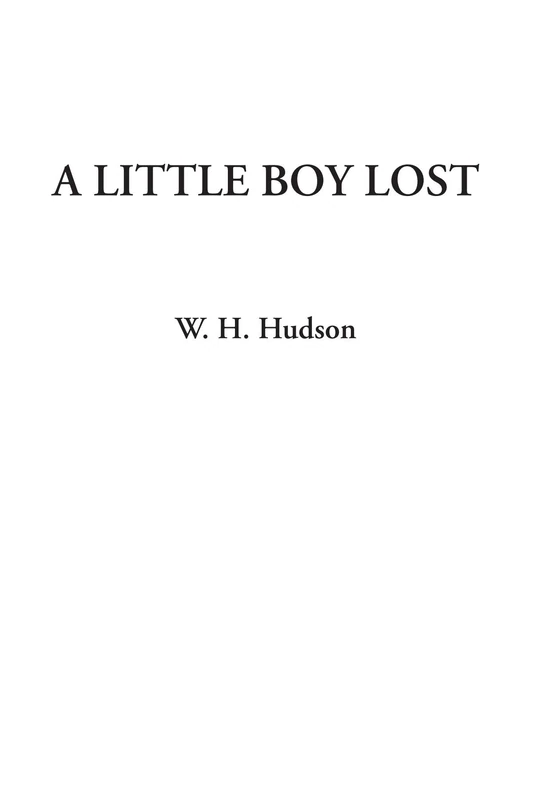A Little Boy Lost