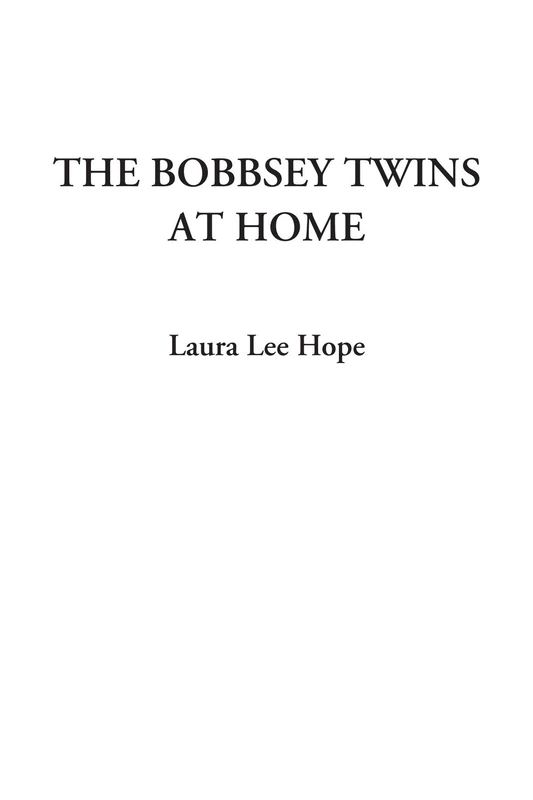 The Bobbsey Twins at Home