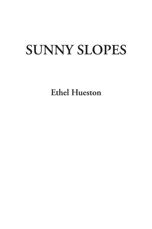 Sunny Slopes - Image 1