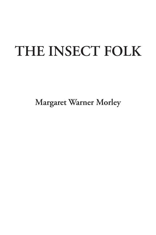 The Insect Folk