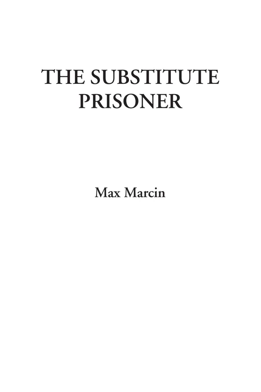 The Substitute Prisoner - Image 1
