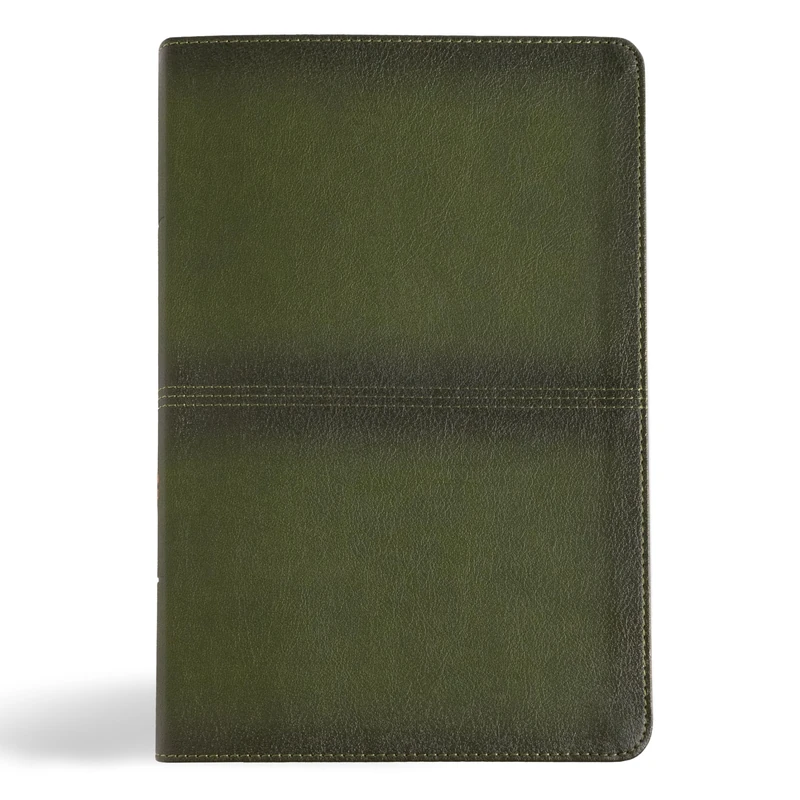 CSB Men's Daily Bible, Olive Leathertouch