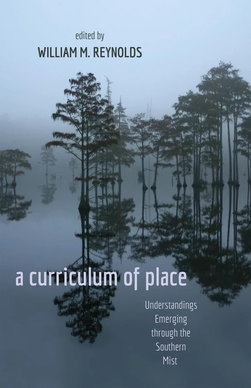 a curriculum of place: Understandings Emerging through the Southern Mist: 412 (Counterpoints: Studies in Criticality)