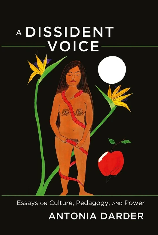 A Dissident Voice: Essays on Culture, Pedagogy, and Power: 418 (Counterpoints: Studies in Criticality) - Image 1