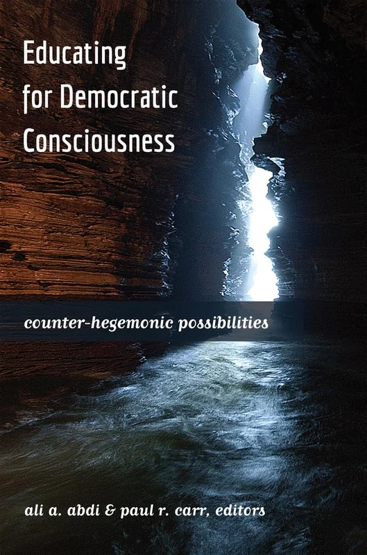 Educating for Democratic Consciousness: Counter-Hegemonic Possibilities: 3 (Critical Studies in Democracy and Political Literacy)