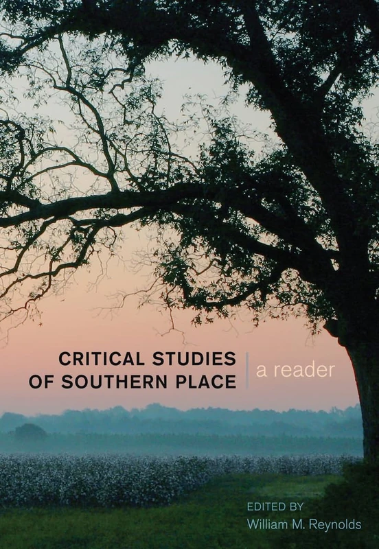 Critical Studies of Southern Place: A Reader: 434 (Counterpoints: Studies in Criticality)