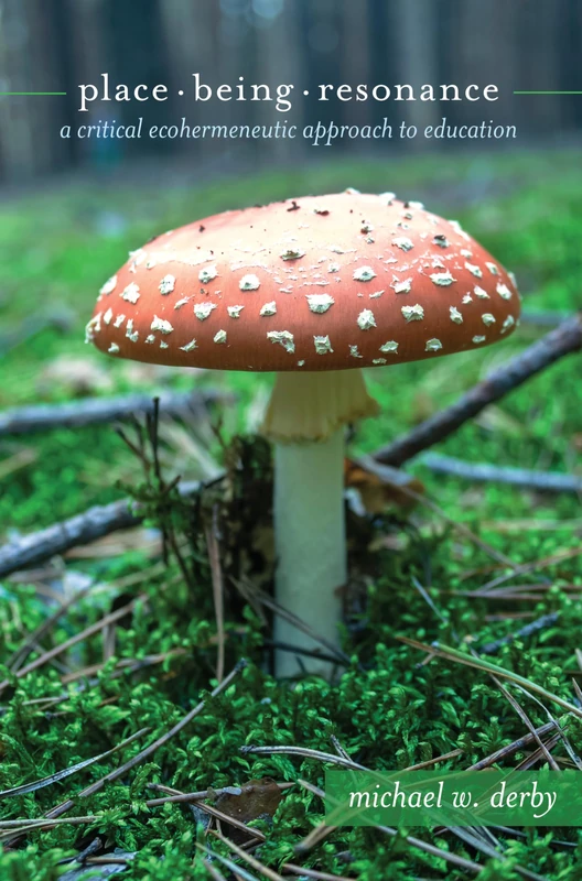 Place, Being, Resonance: A Critical Ecohermeneutic Approach to Education: 18 (Critical Qualitative Research)