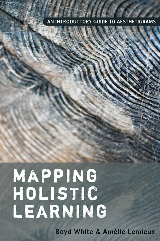 Mapping Holistic Learning: An Introductory Guide to Aesthetigrams - Image 1