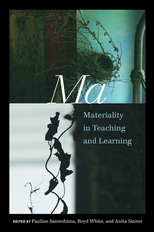 Ma: Materiality in Teaching and Learning: 528 (Counterpoints: Studies in Criticality)
