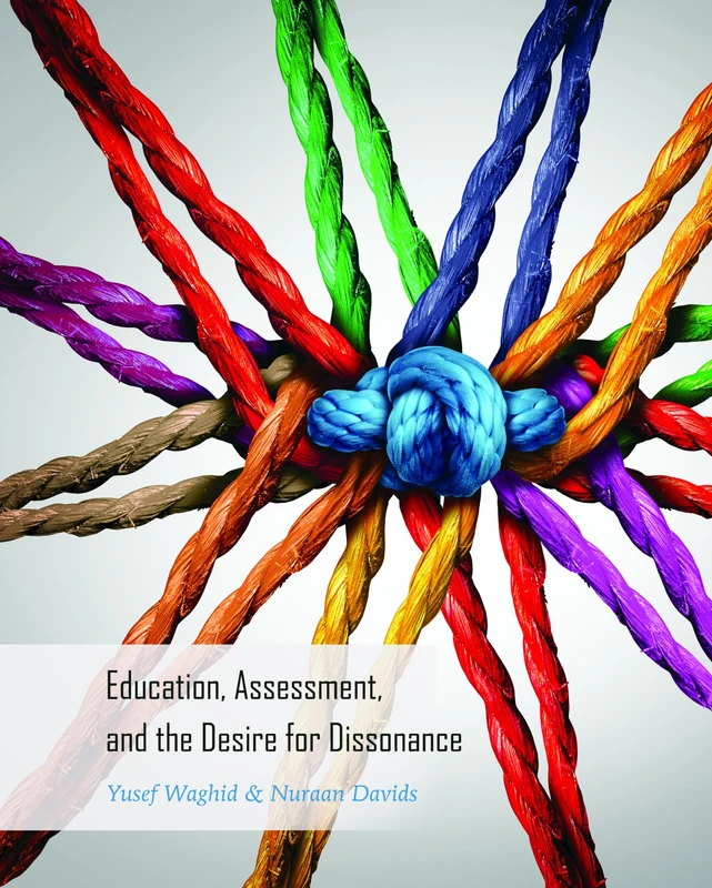 Education, Assessment, and the Desire for Dissonance: 33 (Global Studies in Education)