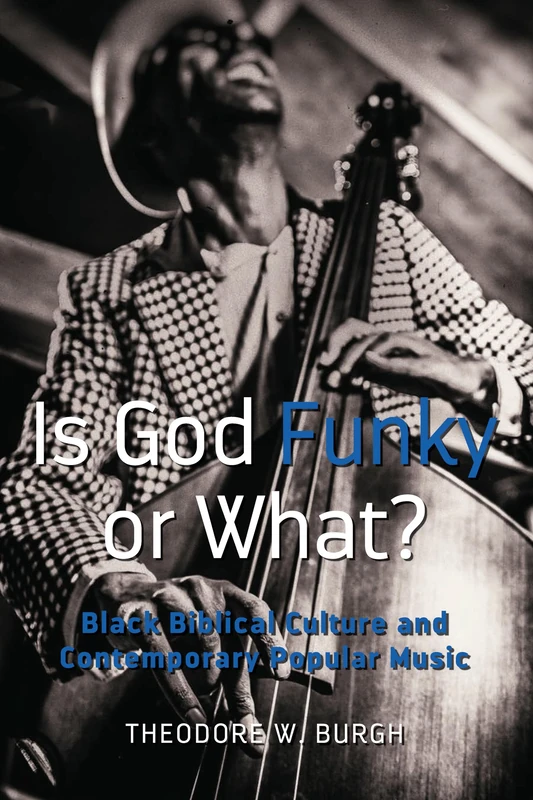 Is God Funky or What?: Black Biblical Culture and Contemporary Popular Music: 111 (Black Studies and Critical Thinking)