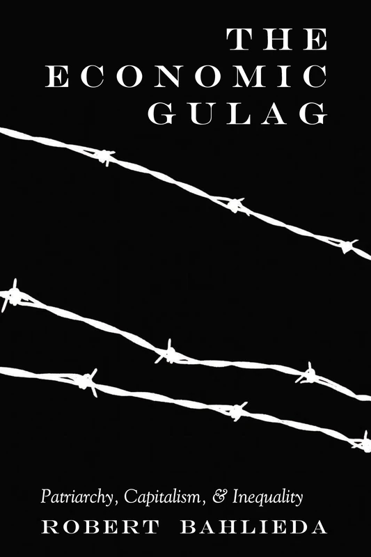 The Economic Gulag: Patriarchy, Capitalism, and Inequality: 524 (Counterpoints: Studies in Criticality)