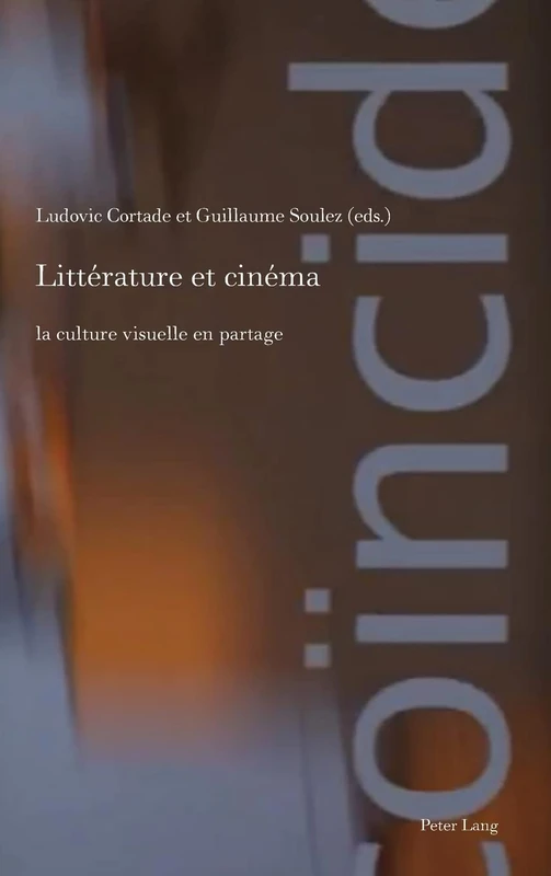 Littérature et cinéma: la culture visuelle en partage: 9 (Film Cultures)