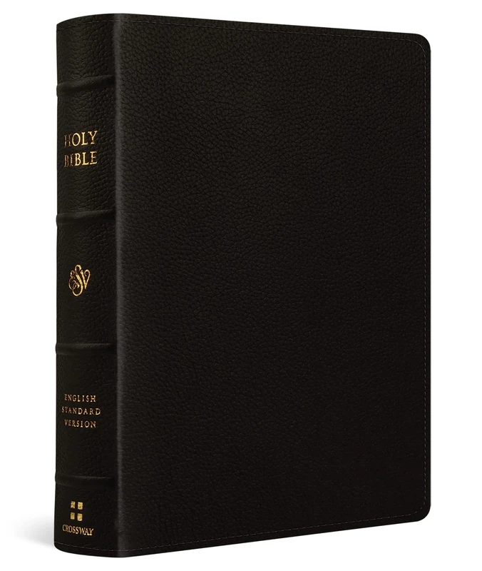 ESV Single Column Journaling Bible, Large Print (Buffalo Leather, Deep Brown): Esv Single Column Journaling Bible, Buffalo Leather, Deep Brown
