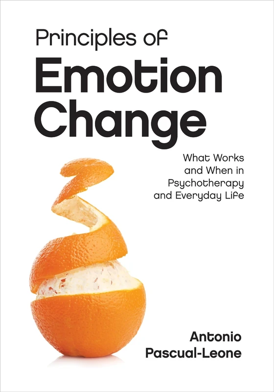 APA Principles of Emotion Change - Psychotherapy Research Book