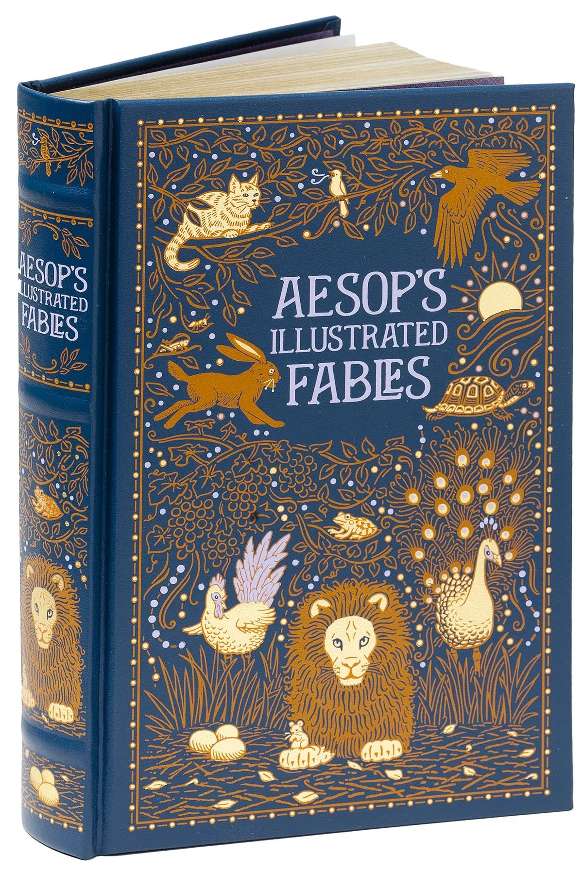 Aesops Illustrated Fables (Barnes & Noble Leatherbound Classic Collection) (Barnes & Noble Collectible Editions)