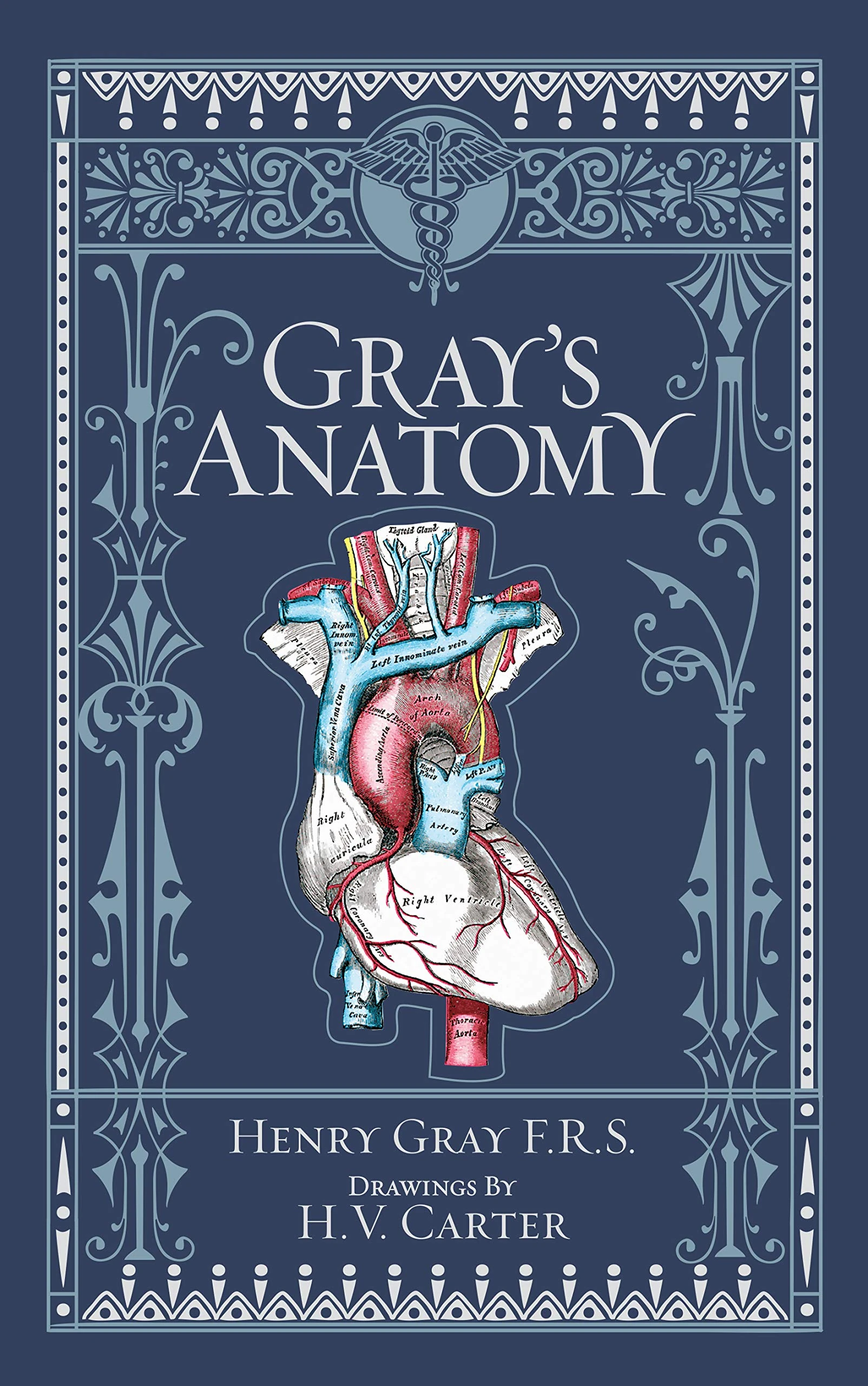 Gray's Anatomy (Barnes & Noble Collectible Classics: Omnibus Edition) (Barnes & Noble Leatherbound Classic Collection) (Barnes & Noble Collectible Editions)