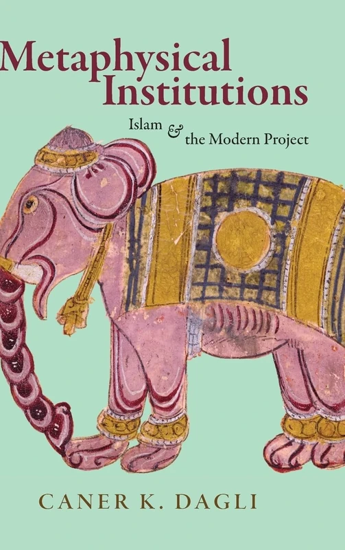 Metaphysical Institutions: Islam and the Modern Project (SUNY series in Islam) - Image 1