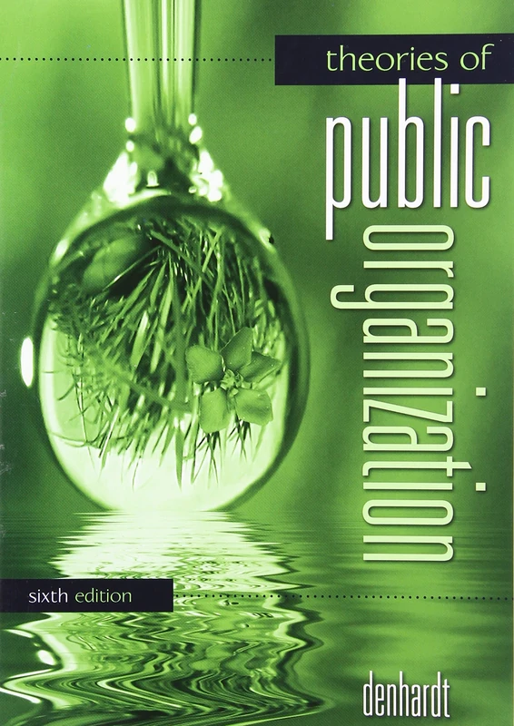 Theories Of Public Organization