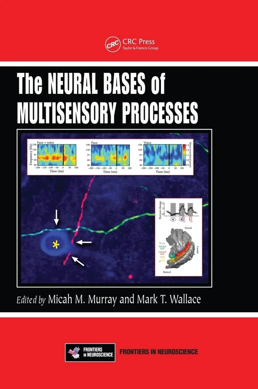 The Neural Bases of Multisensory Processes (Frontiers in Neuroscience)