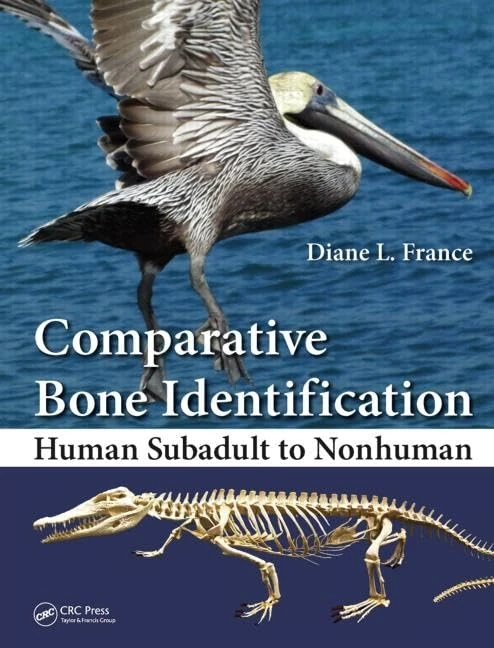 Comparative Bone Identification: Human Subadult to Nonhuman