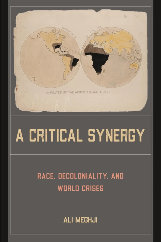 A Critical Synergy: Race, Decoloniality, and World Crises - Image 1