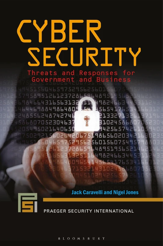 Cyber Security: Threats and Responses for Government and Business (Praeger Security International)