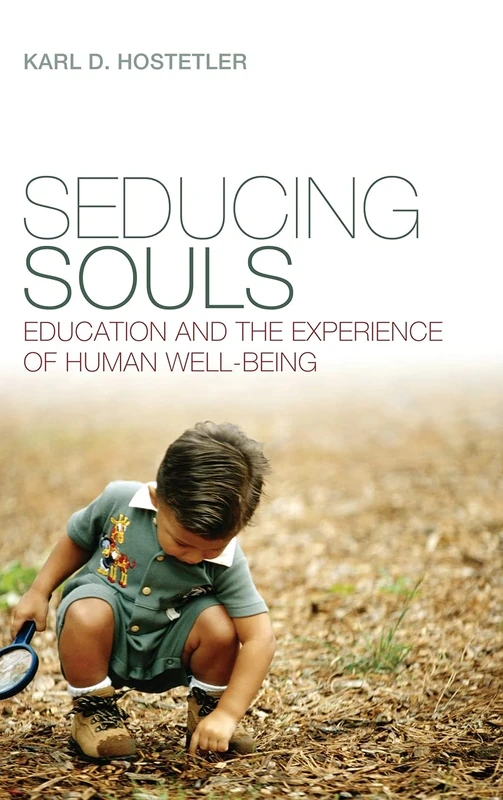 Seducing Souls: Education and the Experience of Human Well-Being - Image 1