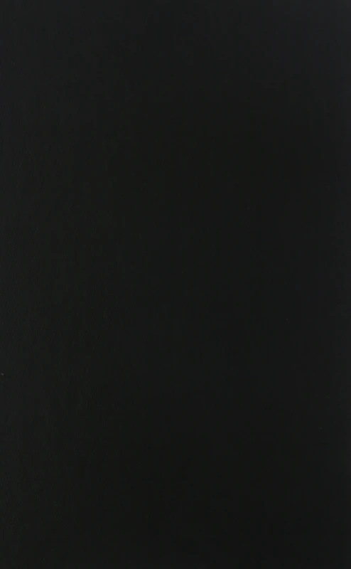 Funny Frames: The Filmic Concepts of Michael Haneke