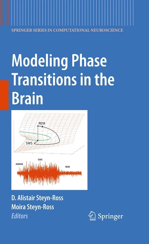 Modeling Phase Transitions in the Brain: 4 (Springer Series in Computational Neuroscience, 4)