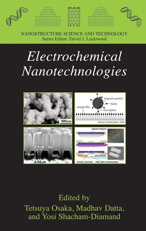 Electrochemical Nanotechnologies (Nanostructure Science and Technology)