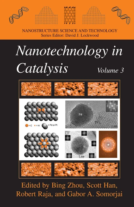 Nanotechnology in Catalysis 3 (Nanostructure Science and Technology)