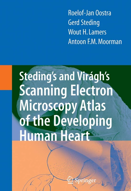 Springer Steding's and Viragh's SEM Atlas of Human Heart - Image 1