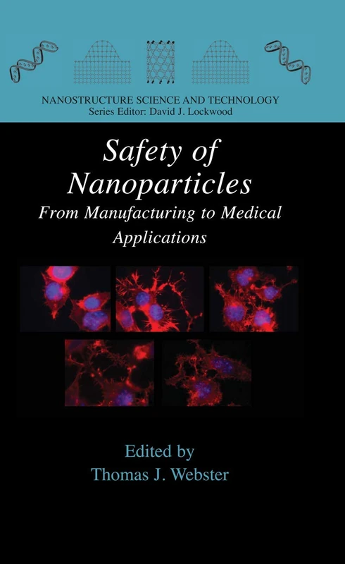 Safety of Nanoparticles: From Manufacturing to Medical Applications (Nanostructure Science and Technology)
