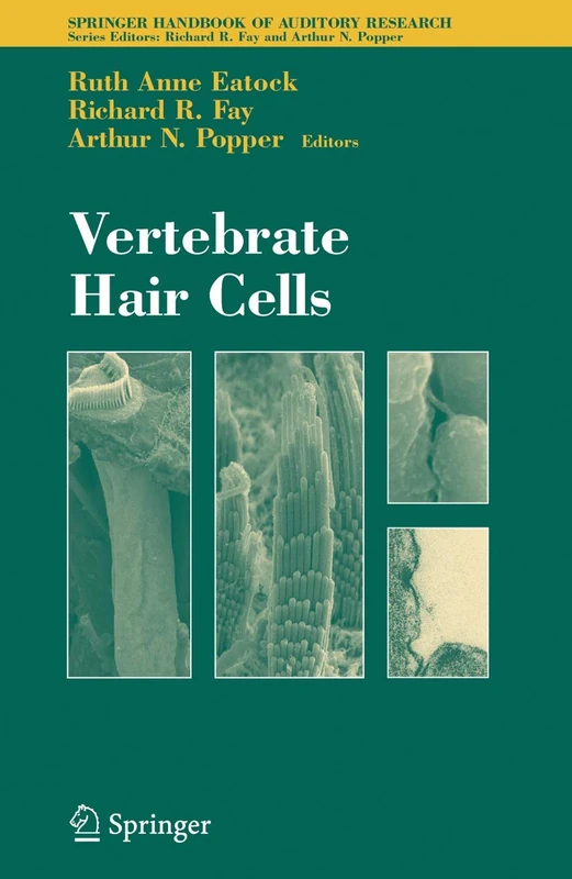 Vertebrate Hair Cells: 27 (Springer Handbook of Auditory Research, 27)