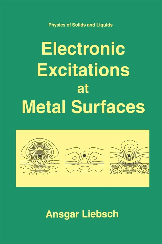 Electronic Excitations at Metal Surfaces (Physics of Solids and Liquids)