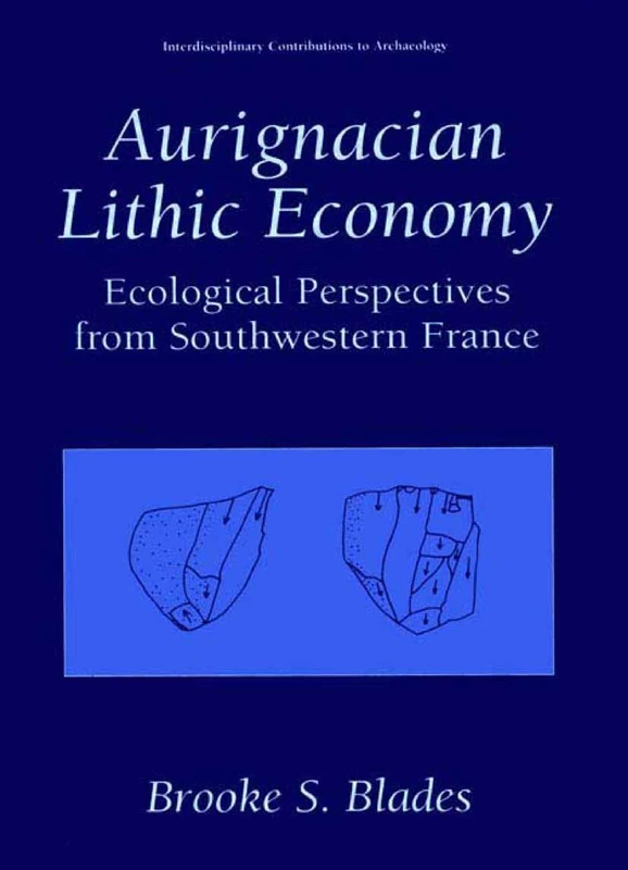 Aurignacian Lithic Economy: Ecological Perspectives from Southwestern France (Interdisciplinary Contributions to Archaeology)