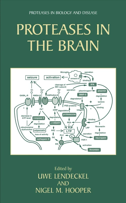 Springer - Proteases in the Brain (Proteases in Biology and Disease)