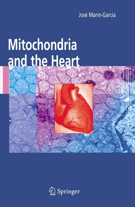Mitochondria and the Heart: 256 (Developments in Cardiovascular Medicine, 256)